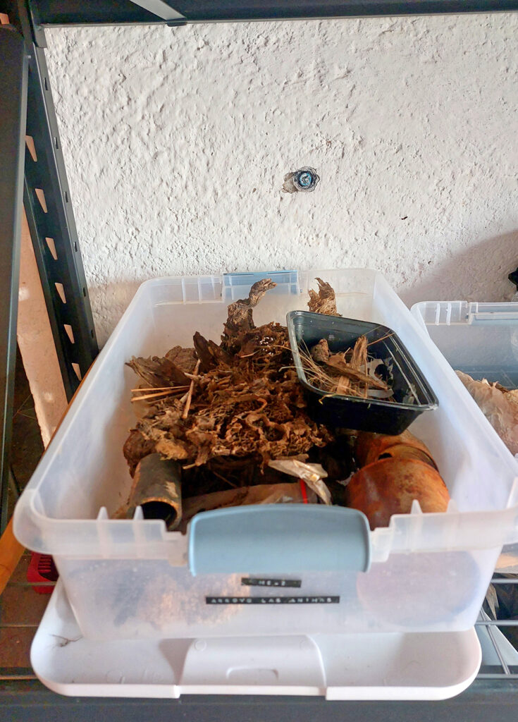 Nortejiendo detalle recoleccion1