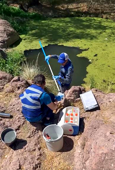 Nortejiendo muestreo 2