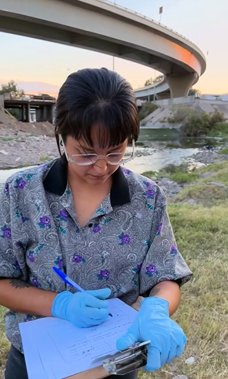 Nortejiendo muestreo chuviscar