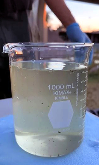 Nortejiendo muestreo chuviscar3